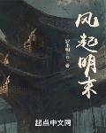 風起明末