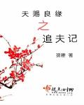 天賜良緣之追夫記